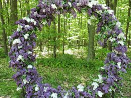 Submit your Customer Creation