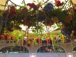 Submit your Customer Creation